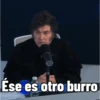 Argentina no lo entenderias 7