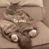 Animales cura depresión🦦 7