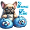 Buenos días 11 Cachorros 🇲🇽 8