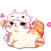 Gatitos amorosos💞1🇵🇪Clásica 13