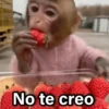 8 No te creo