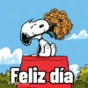 W Car IS200 Feliz día