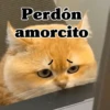 Perdón amorcito