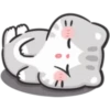 🐱🌟 MaRcUs CaT 🌟🐱 14