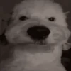 📮💥Reaction MEMES 3💥📮 11