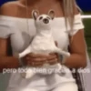 Animales cura depresión🦦 8