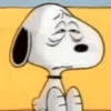🦴🏠 SNOOPY 4 🏠🦴 9