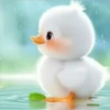 Bonitos cute 🐻 🐼 8