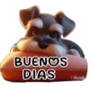 Buenos días 11 Cachorros 🇲🇽 10