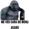 MEMESILLOS 7 CLÁSICA 5