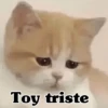 Toy triste