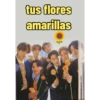 bts flores amarillas🌻🌼 10