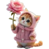 Gatitos Mix 🐱🐈 1 9