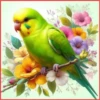 💥Animalitos💥 13