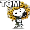 TOM edrolszdio