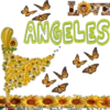 Love ANGELES
