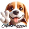 Perritos bonitos💞8🇵🇪Clásica 12