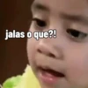 familia peluche 13