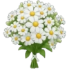 iPhone emoji Primavera2 🌸🩷🌸 10
