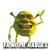 Sherk memes clasicos 💚💫 8