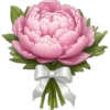 iPhone emoji Primavera2 🌸🩷🌸 11