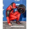 Formula 1 13