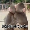 Enojados pero juntos
