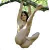 Bal( o )( o )balongoles 12