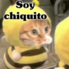 Soy chiquito