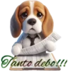 Perritos bonitos💞8🇵🇪Clásica 14