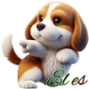 Perritos bonitos💞8🇵🇪Clásica 15