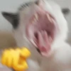 📮💥Reaction MEMES 3💥📮 15