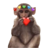 Monos 🐵 changos 🙉 12