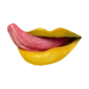 labios. boca 👄💋 14