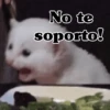 No te joμodos