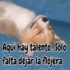 Aqui hay talento.. Solo falta dejar la flojera