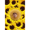 bts flores amarillas🌻🌼 13