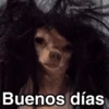 🐶🐱🐵 ANIMALITOS 🐵🐱🐶 13