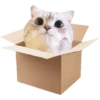 Michis random🐈🐈‍⬛ 17