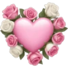iPhone emoji Primavera2 🌸🩷🌸 14