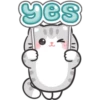 🐱🌟 MaRcUs CaT 🌟🐱 22