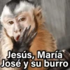 Jesús, María José y su burro
