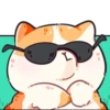 Gatitos amorosos💞1🇵🇪Clásica 17