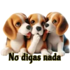 Perritos bonitos💞8🇵🇪Clásica 17