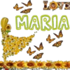 LOVE MARIA