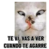 Memes clásicos gatito 😺🔥 12