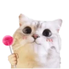Michis random🐈🐈‍⬛ 18