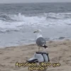 Más REACCIONES #6 🤖 6