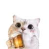 Michis random🐈🐈‍⬛ 19