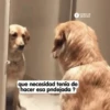 Más REACCIONES #6 🤖 8
